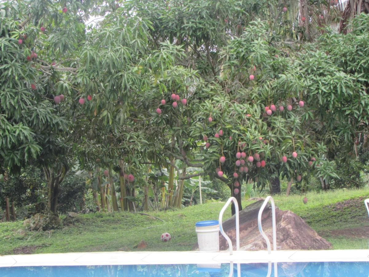 Turística Santa Bárbara * Melgar